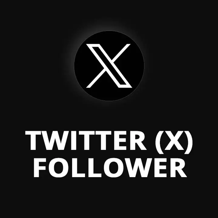 Twitter X Follower